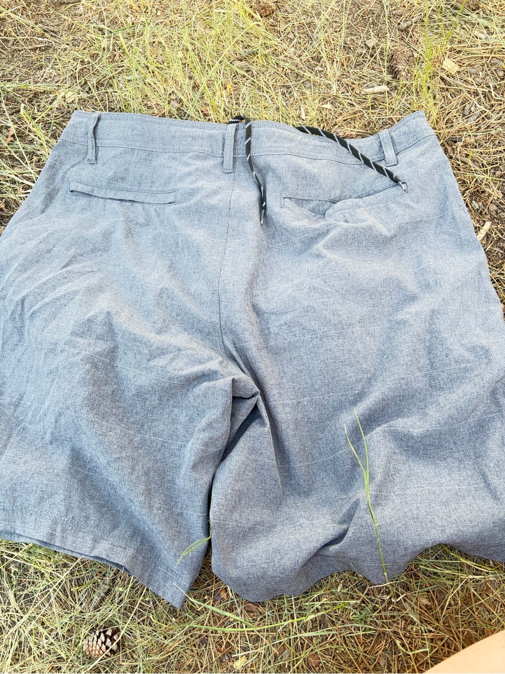 Hang Ten Men's Light Gray Flat Front Shorts with Drawstring